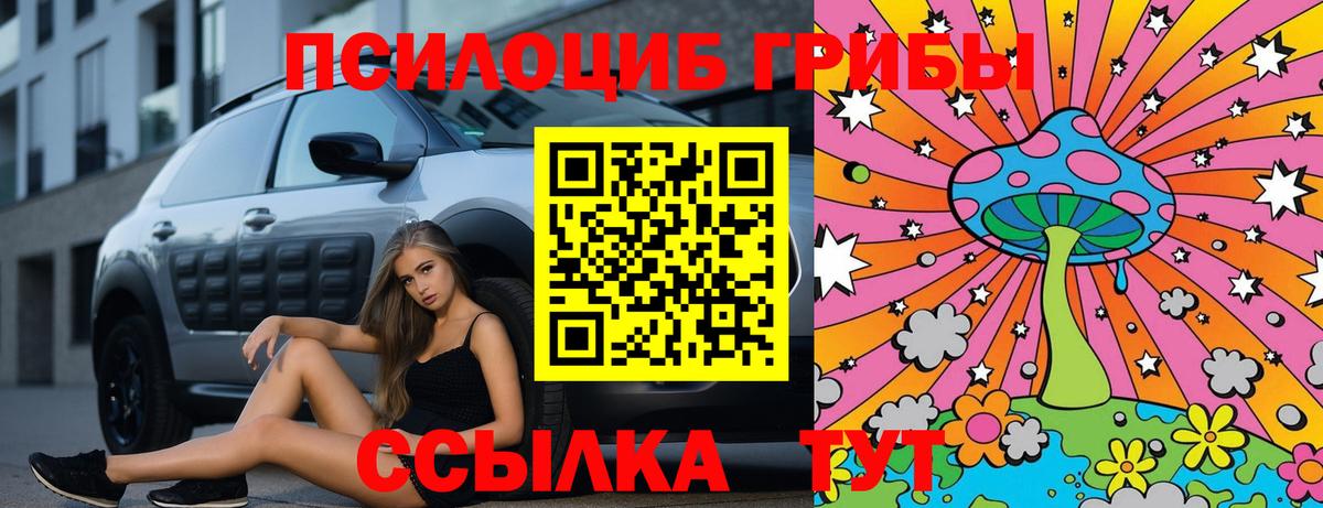 Кимовск  Псилоцибиновые грибы MAGIC MUSHROOMS  Вход с VPN 
